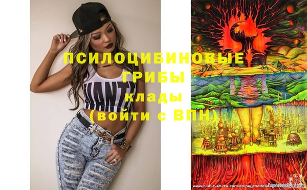 mdpv Нягань