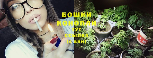 гидропоника Нязепетровск