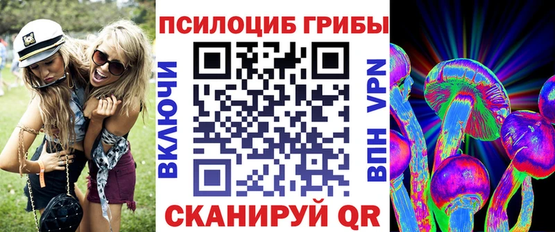 Псилоцибиновые грибы Cubensis  где продают наркотики  Полысаево 