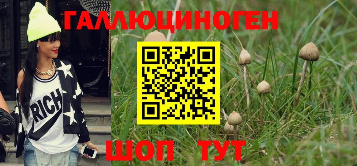 Галлюциногенные грибы мухоморы Полысаево