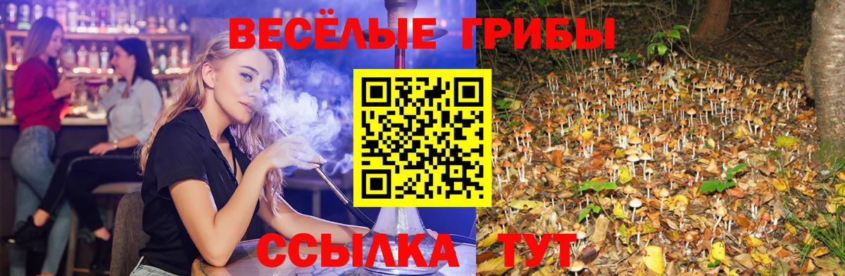 Полысаево  Галлюциногенные грибы Cubensis  Вход с VPN 