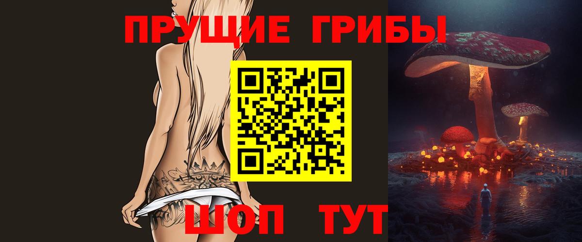 Псилоцибиновые грибы мицелий Полысаево